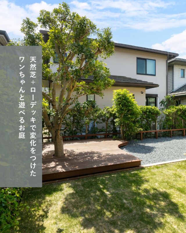 🍃ワンちゃんと遊べるお庭

天然芝＋ローデッキで変化をつけたお庭。
小型のワンちゃんが隣宅などに行かないように
ネットをかけられるウリン製の柵もつくりました。

　  気に入っていただけたら
👉フォロー・いいね・保存👈
　  お願いいたします

 🟢LINE公式アカウント🟢
おともだち追加でお気軽にご相談できます。
▷ 追加はプロフィールのリンク🔗から

一つ一つのご依頼に、
建物・家族の暮らし・自然の調和した、
たった一つの庭やアプローチを創ります。

#ランドガーデン #landgarden

🌿最新施工事例公開中🌿
▶︎ @land_garden
ホームページ・TELより
お気軽にお問い合わせください🕊
⁡https://www.land-garden.net/

------------------------------------------
《ランド・ガーデン千葉》
🌱 千葉県四街道市もねの里1-2-18
TEL.043-420-2000
⁡　
《ランド・ガーデン八千代》
🌱 千葉県八千代市大和田新田103-34
TEL.047-450-0100

営業時間 9:00 ～ 17:00 （水曜定休）
------------------------------------------⁡

《施工エリア》
千葉市(若葉区は一部除外・緑区はエリア外)・船橋市・習志野市・八千代市・佐倉市・四街道市・白井市・印西市・酒々井町・富里市・八街市・成田市の一部

★ 「モデルガーデン」見学できます ★
　　 八千代市高津（完全予約制）
　　　　 ～ 風の通り道 ～
👑第32回 タカショー庭空間施工例コンテスト👑
　5thROOM&ガーデン部門 銀賞受賞
🎁初めてのご来場予約＋ご来場でプレゼント🎁
　Amazonギフトカード 3,000円分など

佐倉市王子台｜四街道市千代田　にも
モデルガーデンがございます。
詳細はホームページをご覧ください😊

家の外の構造物や周囲の空間、庭、植栽などをトータルにイメージしたり、アイデアのヒントに役立つモデルガーデンです。理想の庭を維持するためのアドバイスもいたします。

ホームページからお気軽にご予約ください！

#ガーデンリフォーム #デザインガーデン #ナチュラルガーデン #ペットと遊ぶ庭 #ウッドデッキ #LGウッドデッキ #ウリン材 #ウリン #アイアンウッド #ドッグラン #ドッグランのある庭 #lgドッグラン #芝生 #天然芝 #砂利敷き #砂利